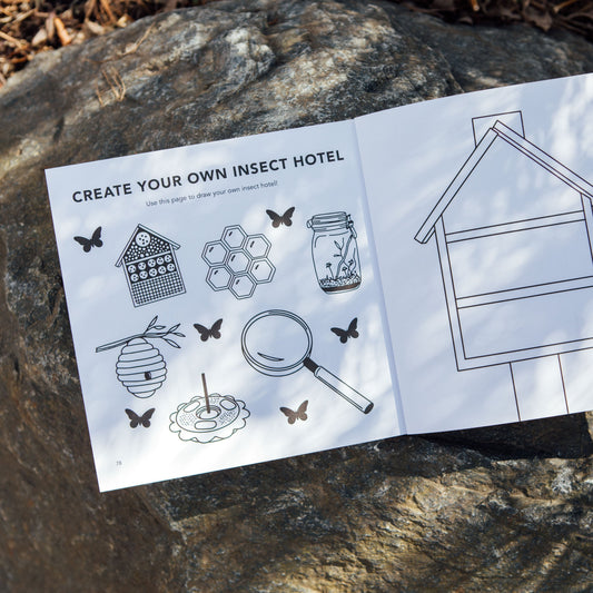 Bugs: How to Draw Books for Kids – BrightSprig