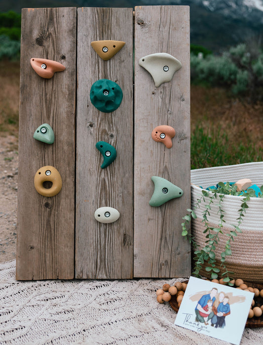 Everett & Avery Premium Rock Climbing Holds (Earth Tones) - Indoor Climbing Wall – BrightSprig