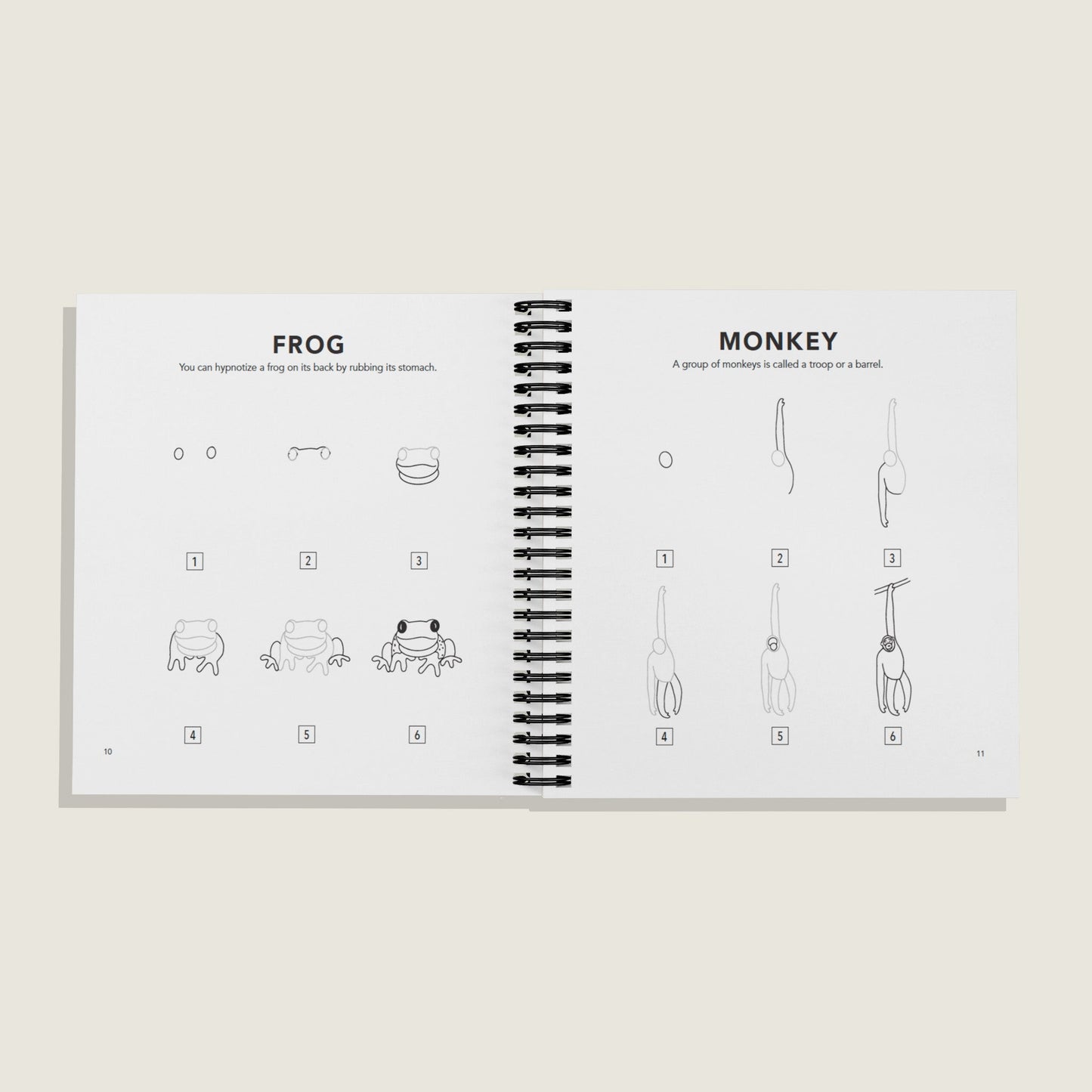 How to Draw All the Animals (Spiral) – BrightSprig