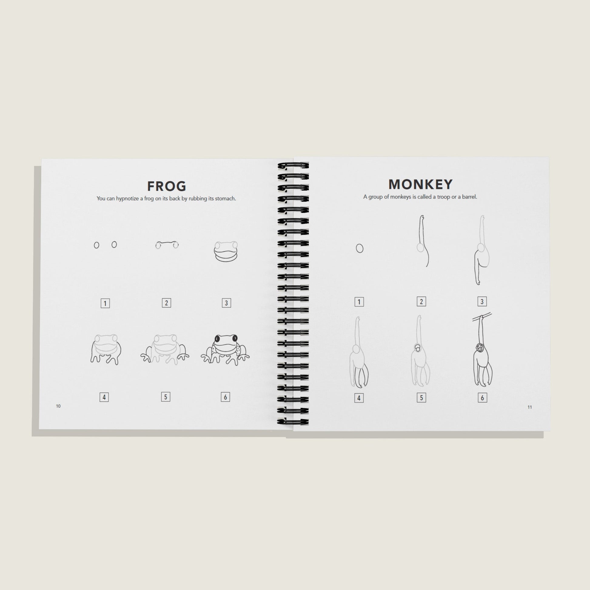 How to Draw All the Animals (Spiral) – BrightSprig