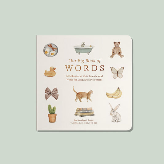 Our Big Book of First Words – BrightSprig