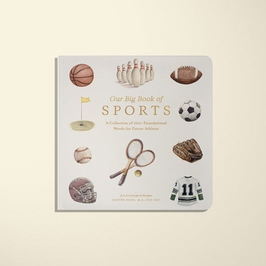 Our Big Book of Sports – BrightSprig
