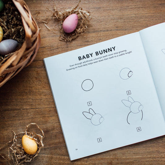 Spring Things: How to Draw Books for Kids – BrightSprig