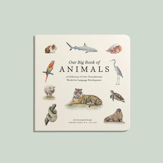 Our Big Book of Animals – BrightSprig