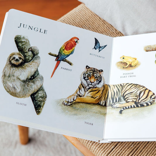 Our Big Book of Animals – BrightSprig