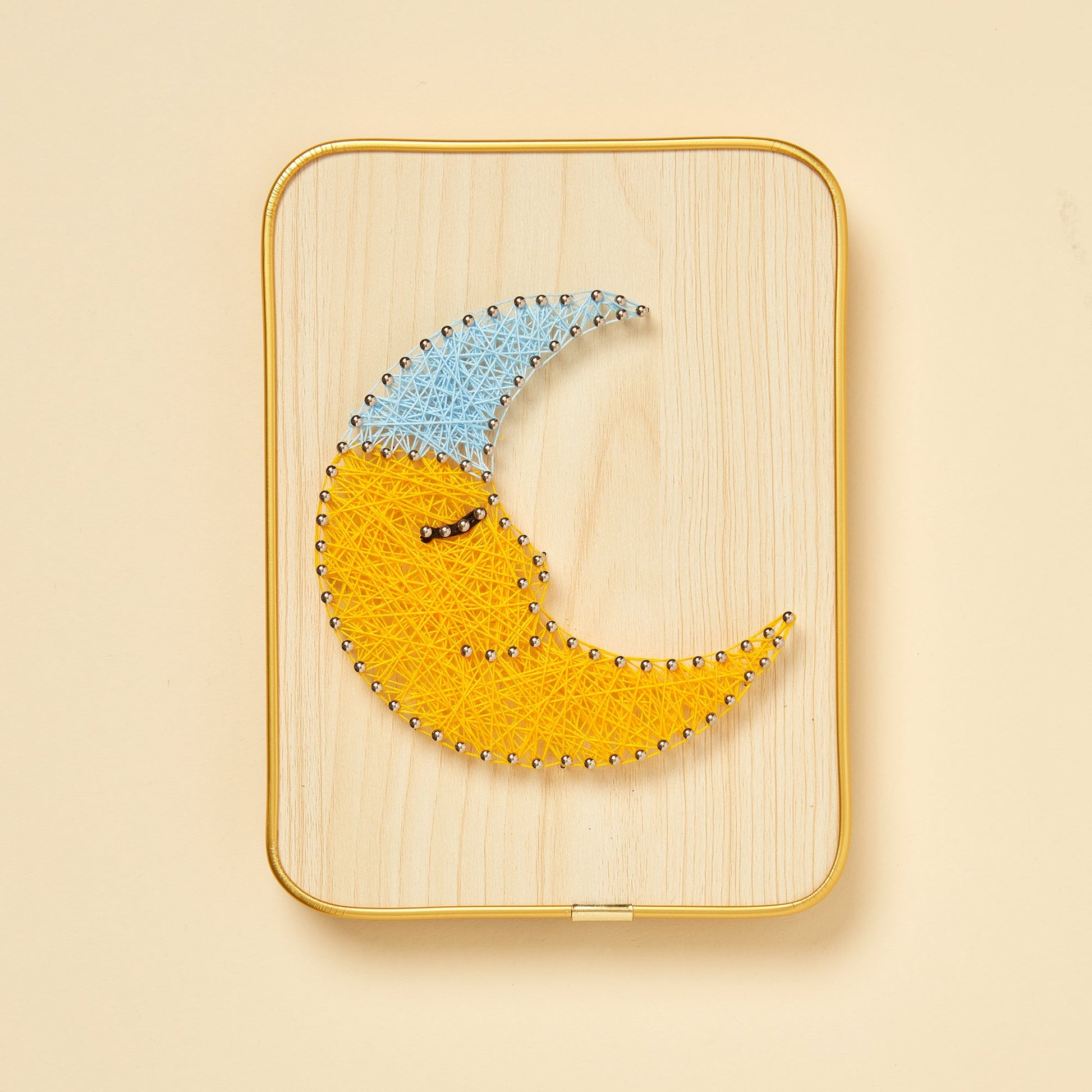 Kitsville String Art DIY Kit – BrightSprig