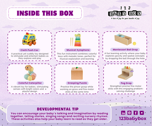 123 Baby Box Montessori Learning Box – 11-12 months – BrightSprig