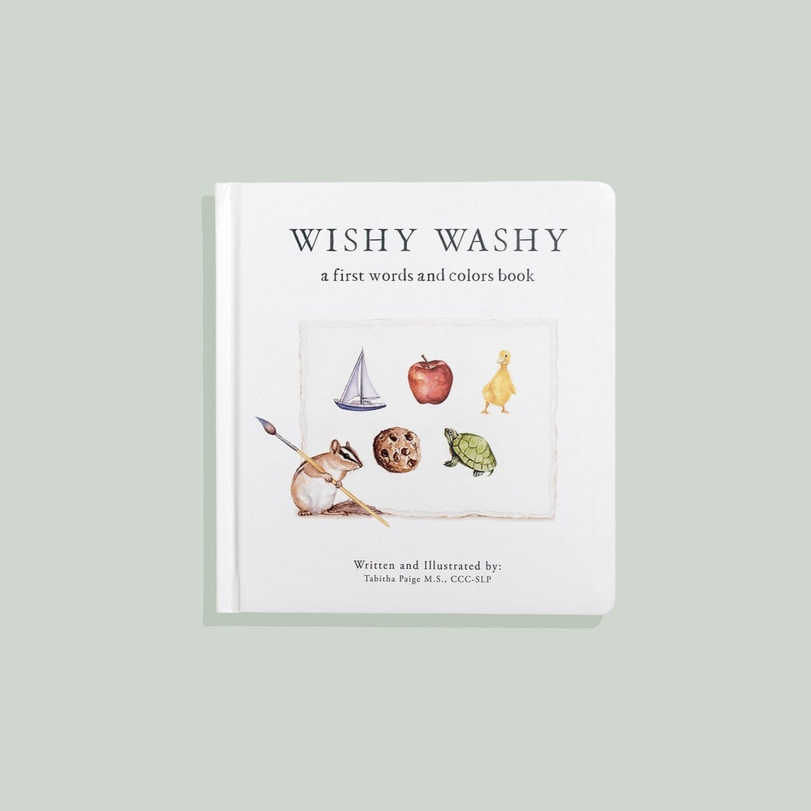 Wishy Washy Board Book of First Words & Colors – BrightSprig