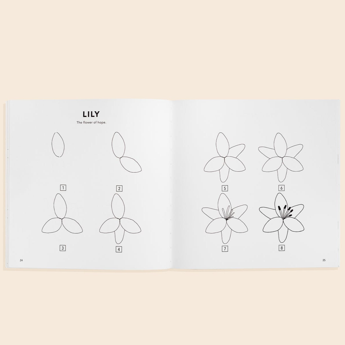 Modern Flowers: How to Draw Books for Kids – BrightSprig