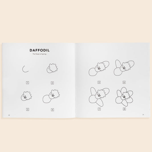Modern Flowers: How to Draw Books for Kids – BrightSprig