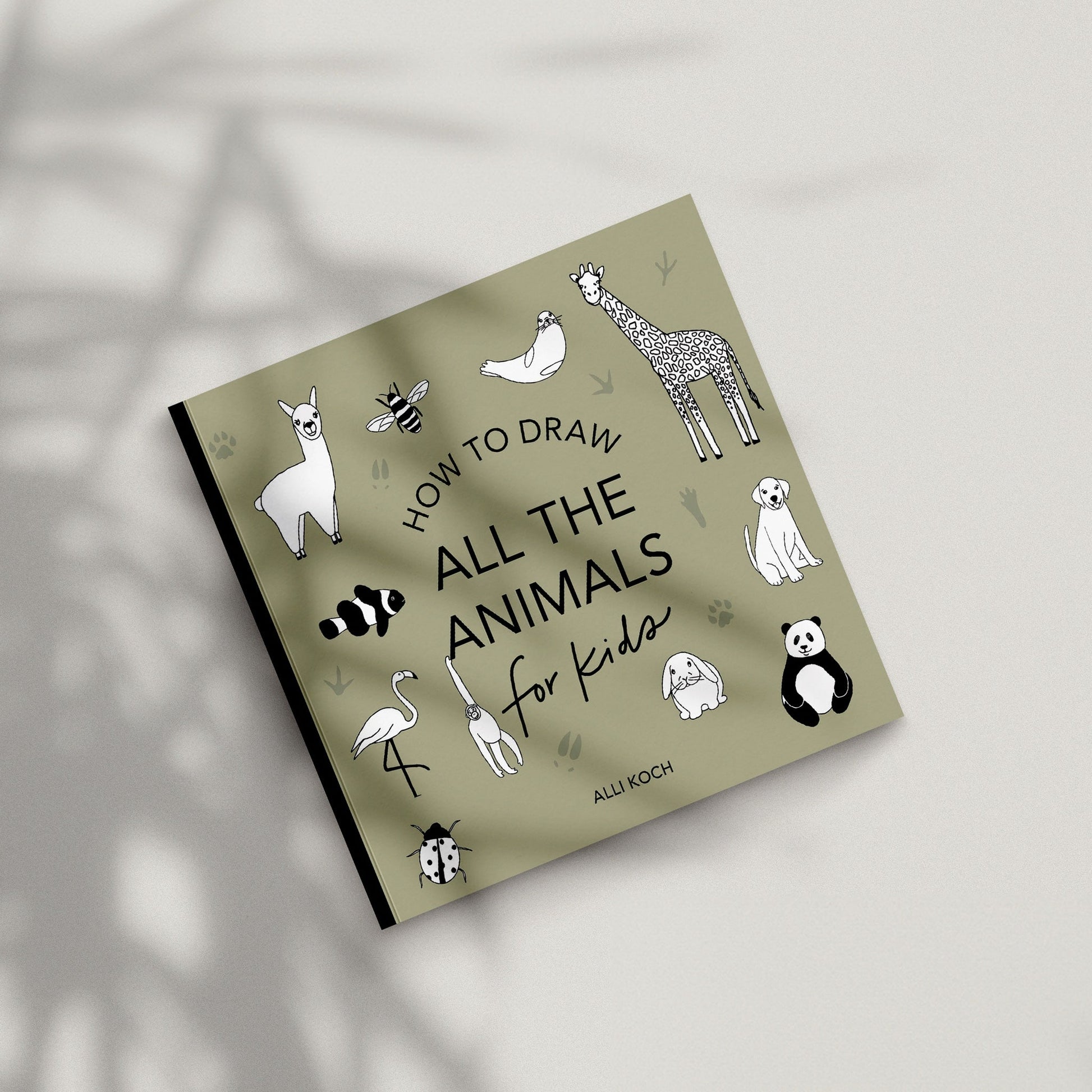 All the Animals: How to Draw Books for Kids – BrightSprig