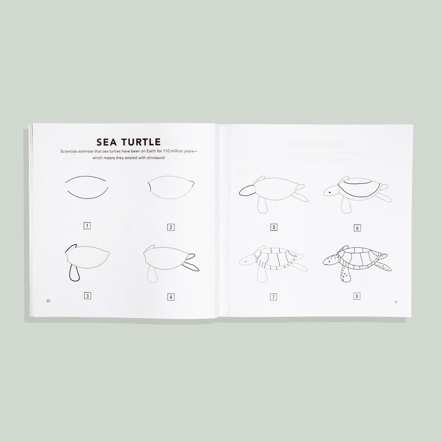 Under the Sea: How to Draw Books for Kids – BrightSprig