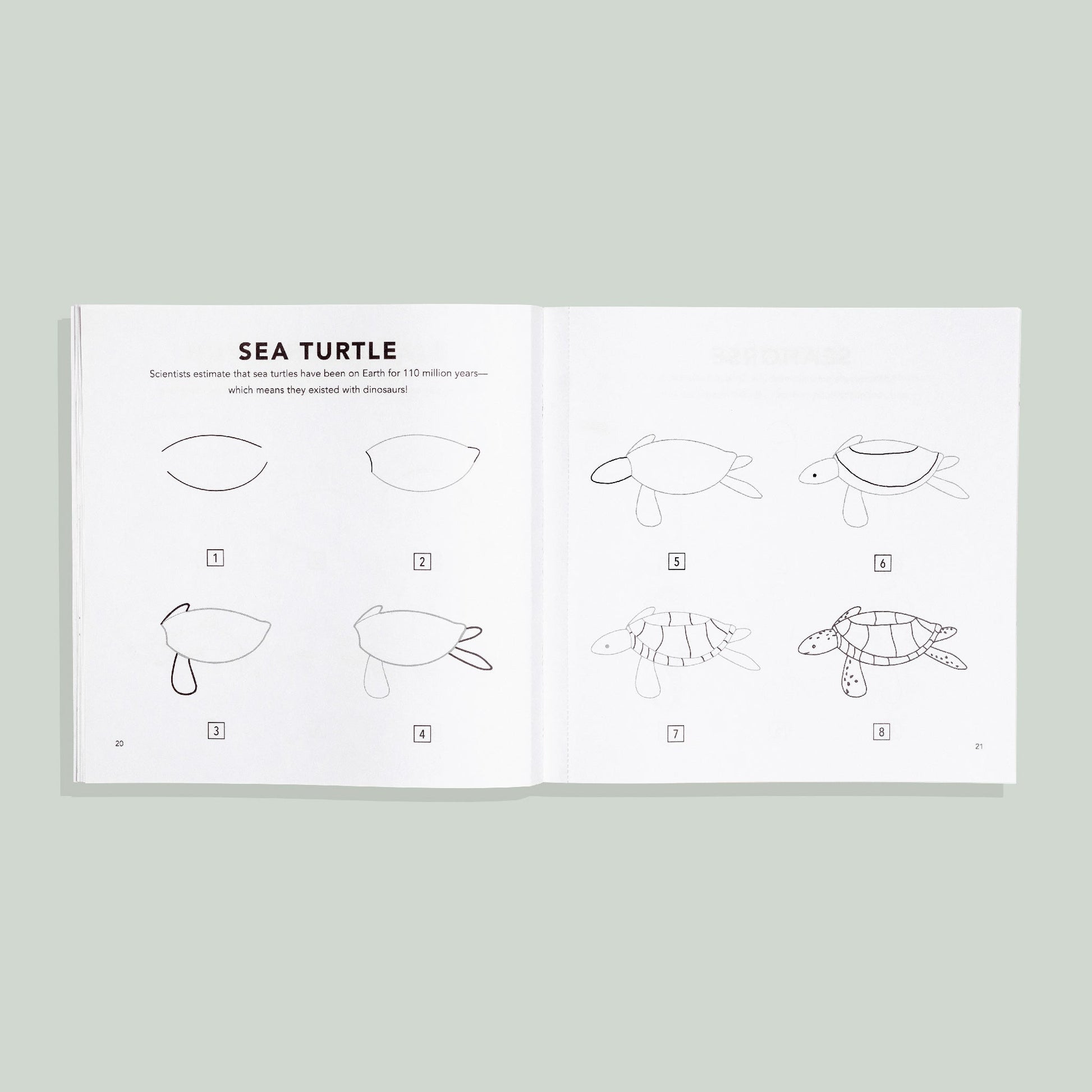 Under the Sea: How to Draw Books for Kids – BrightSprig