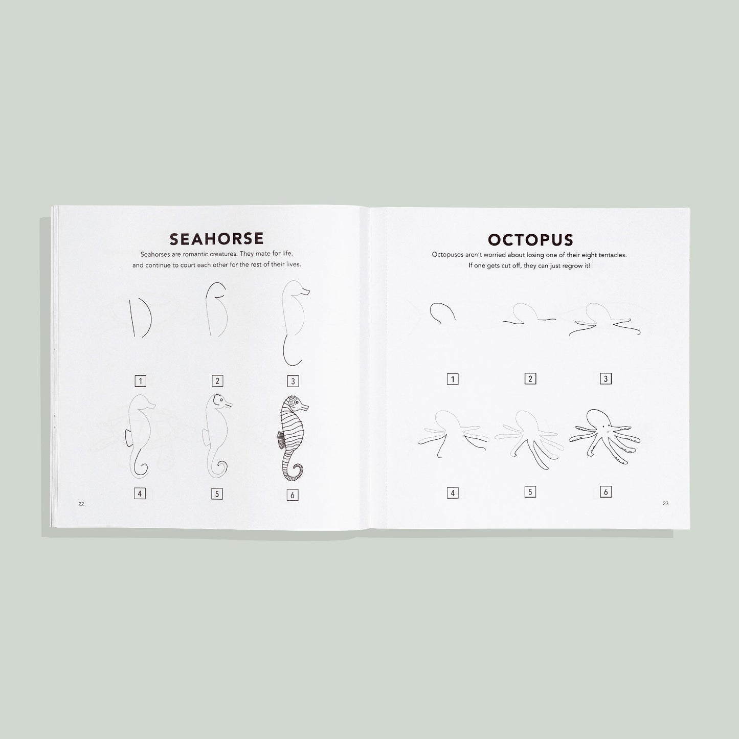Under the Sea: How to Draw Books for Kids – BrightSprig