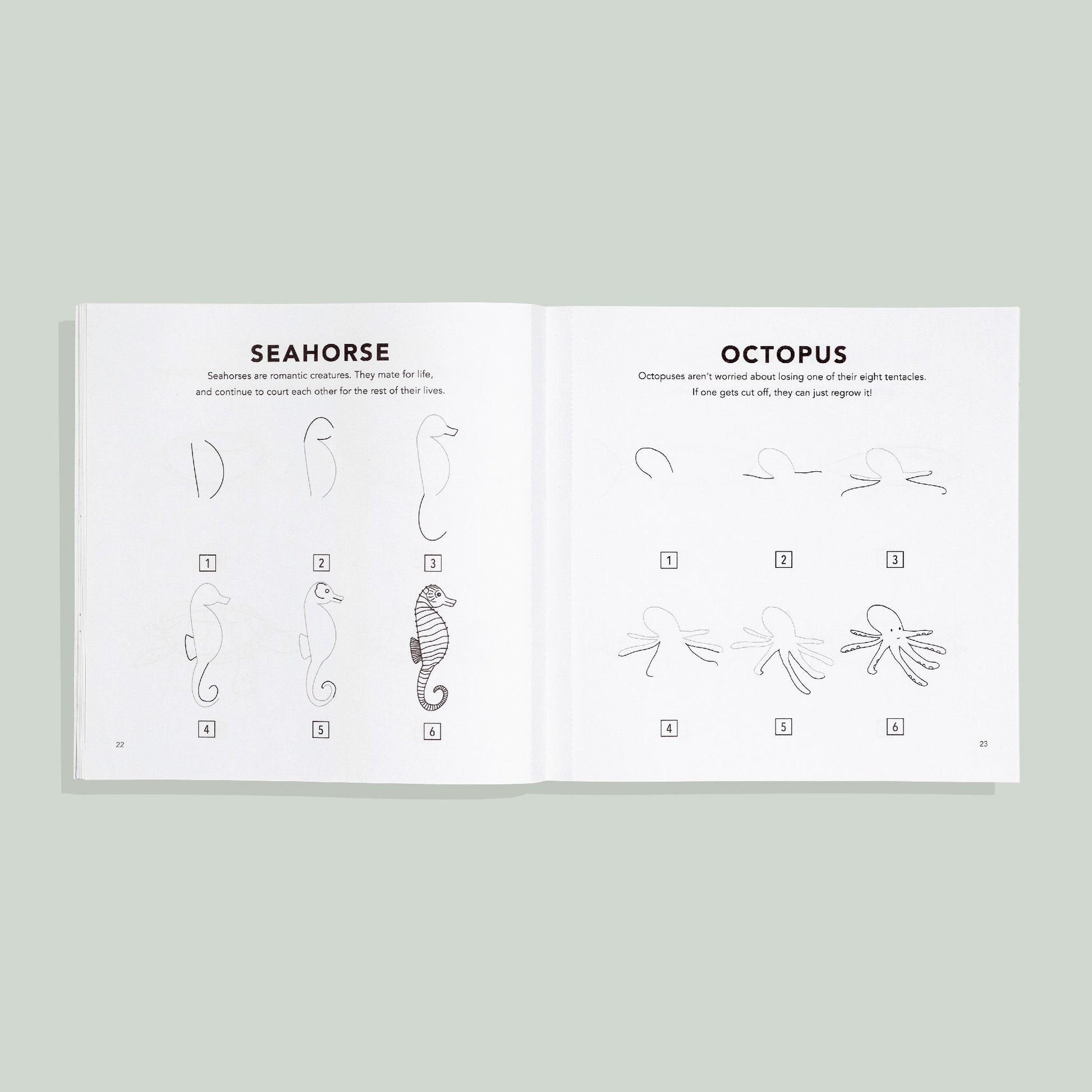 Under the Sea: How to Draw Books for Kids – BrightSprig