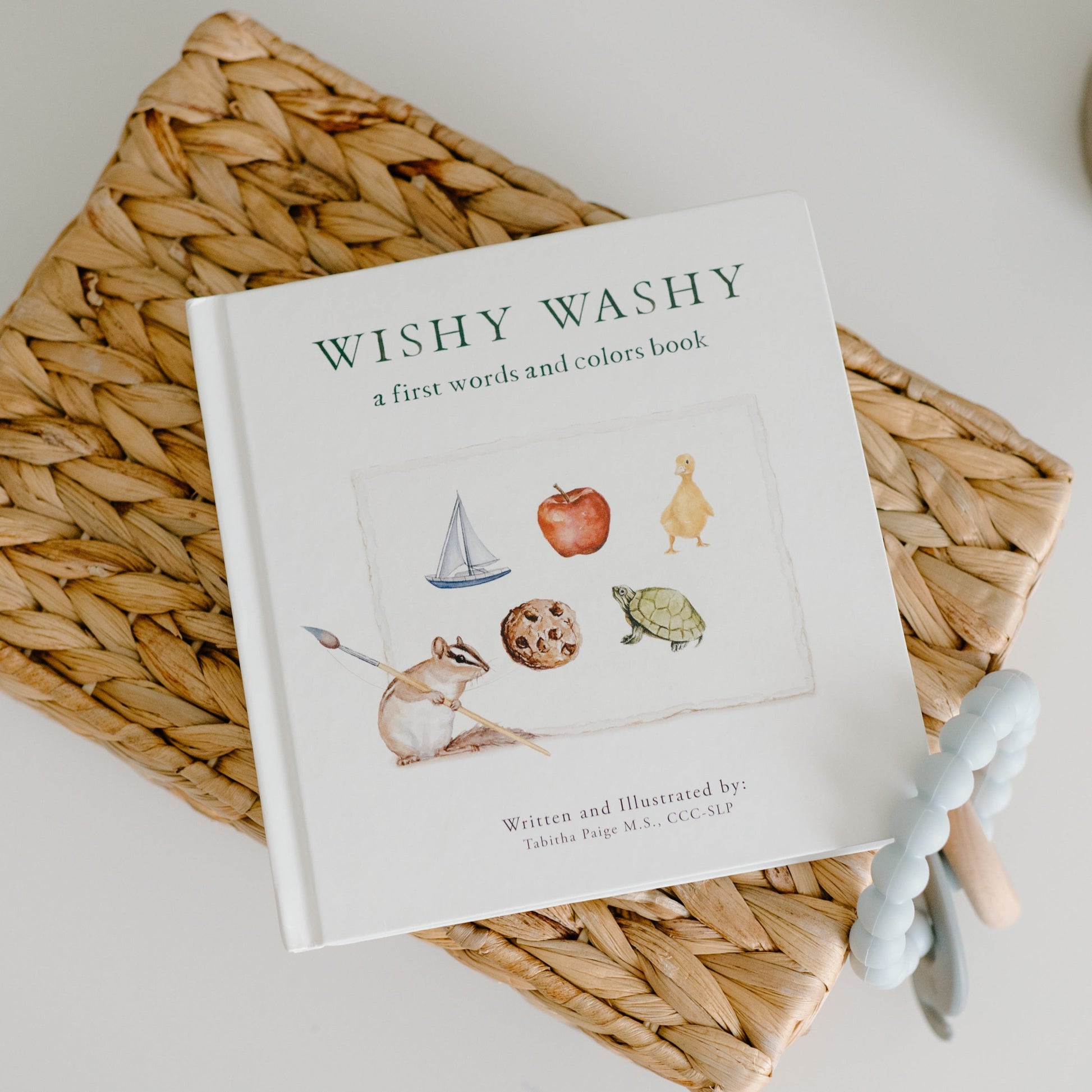 Wishy Washy Board Book of First Words & Colors – BrightSprig