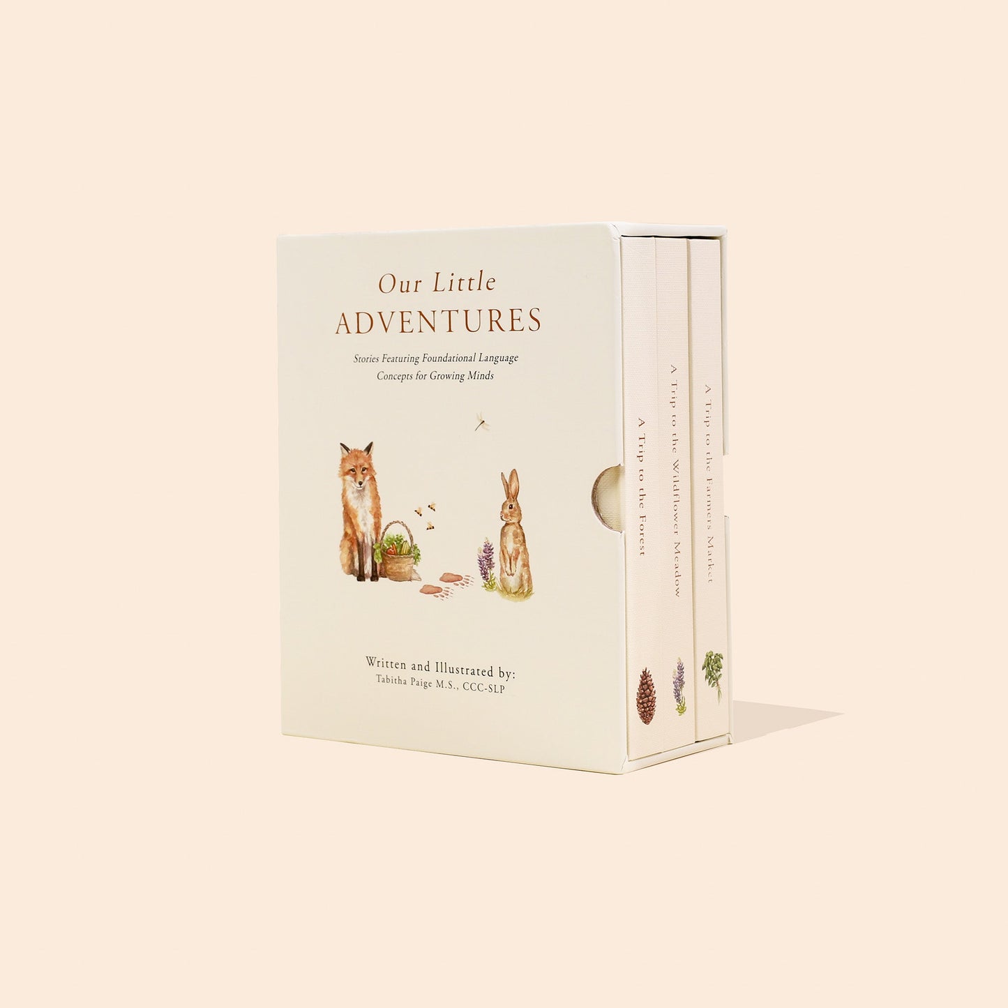 Our Little Adventures Box Set – BrightSprig