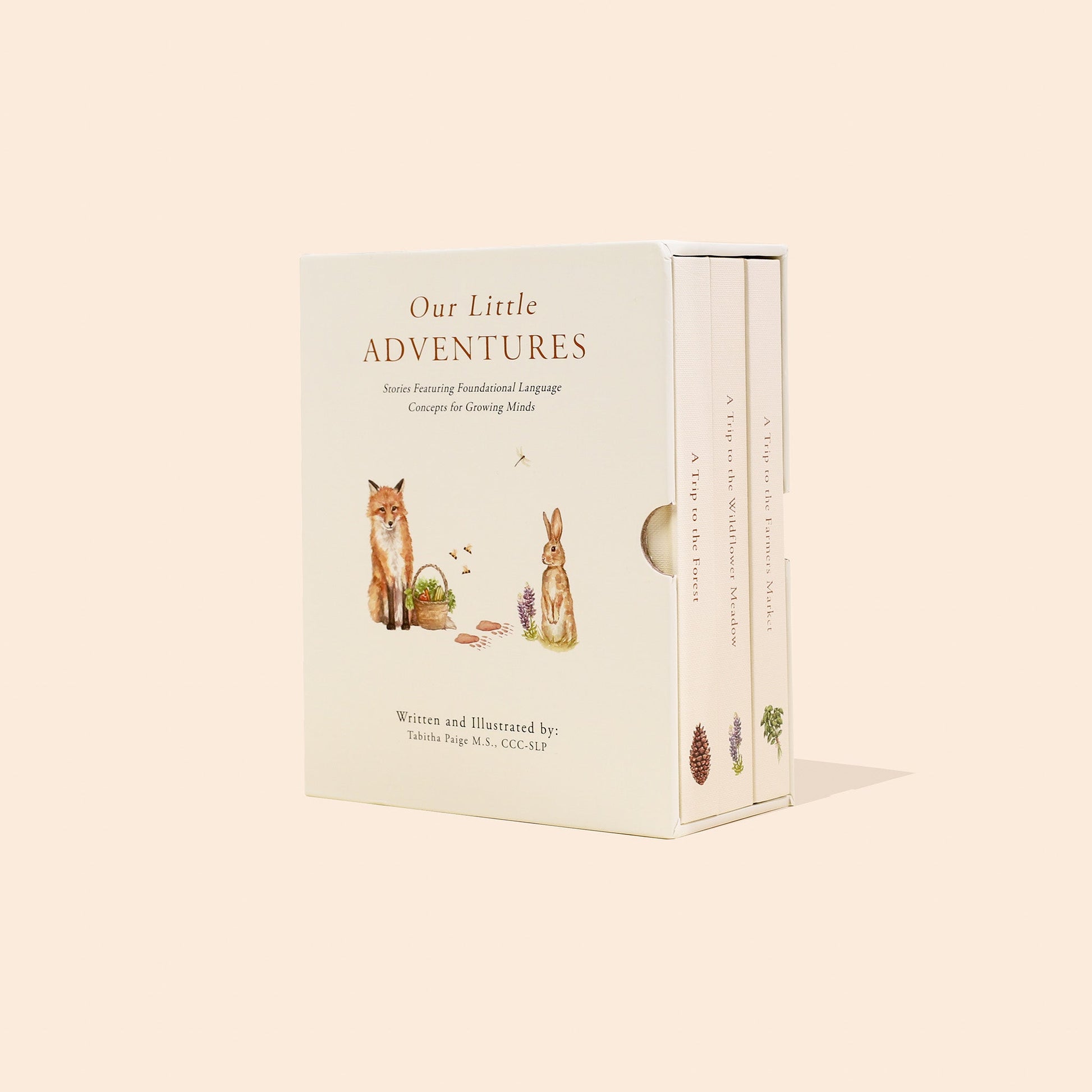 Our Little Adventures Box Set – BrightSprig