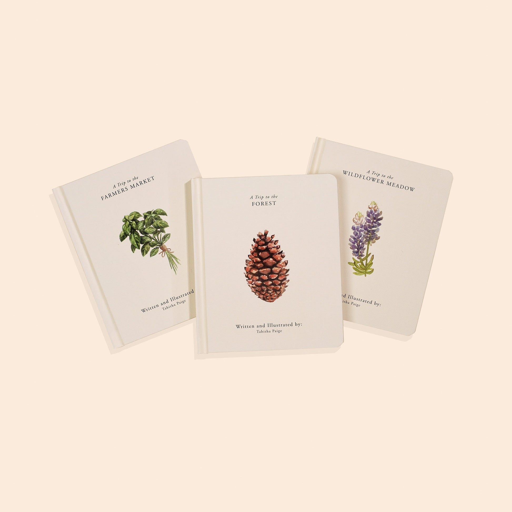 Our Little Adventures Box Set – BrightSprig