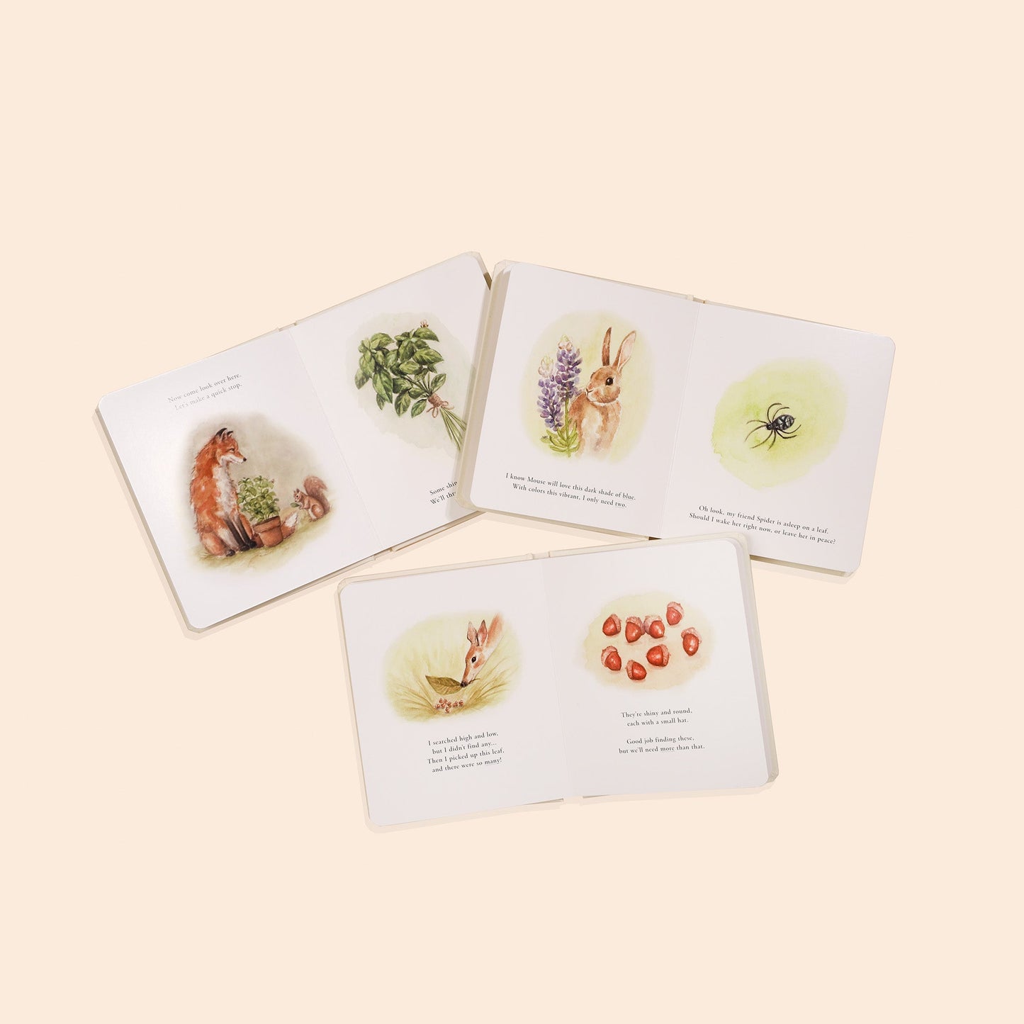 Our Little Adventures Box Set – BrightSprig