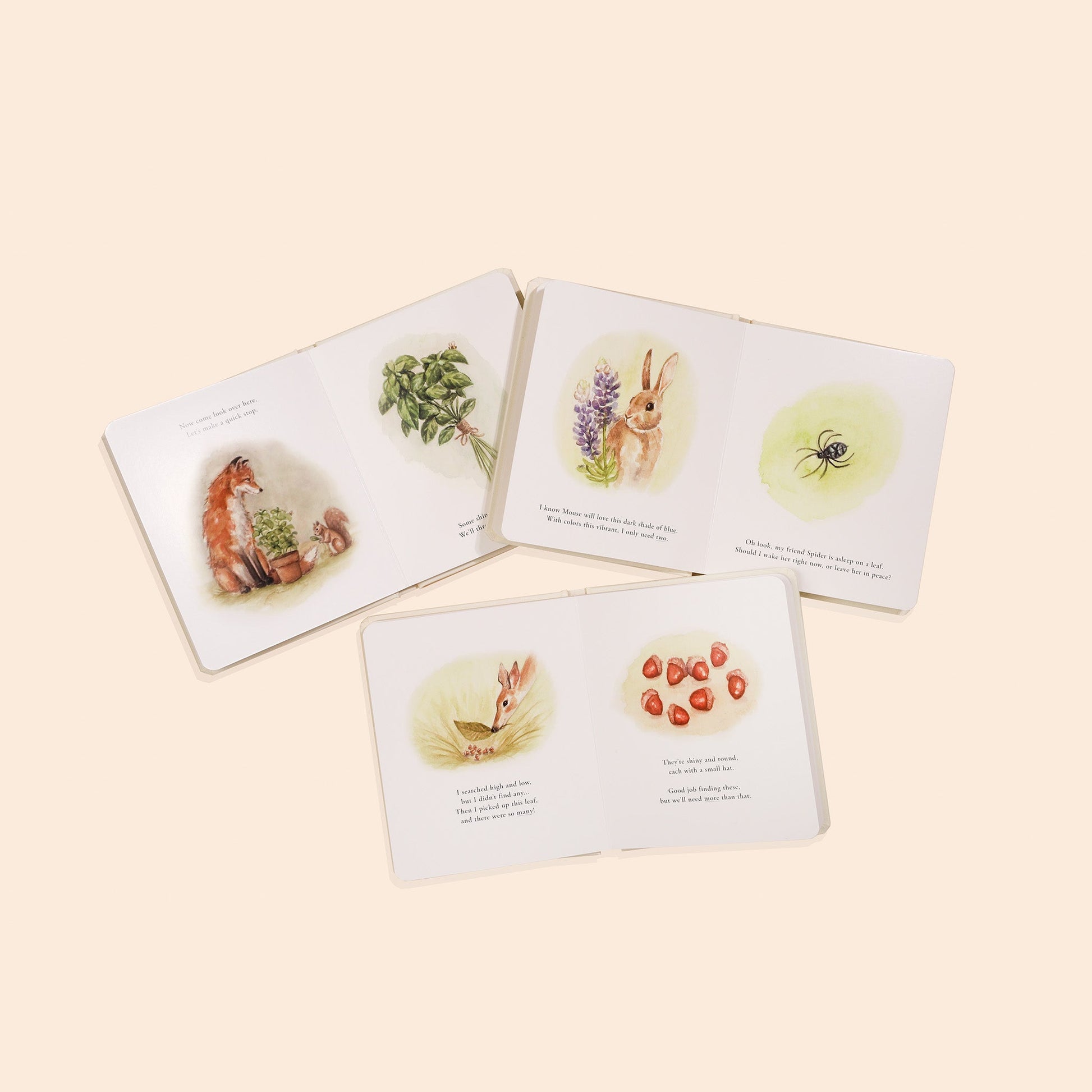 Our Little Adventures Box Set – BrightSprig