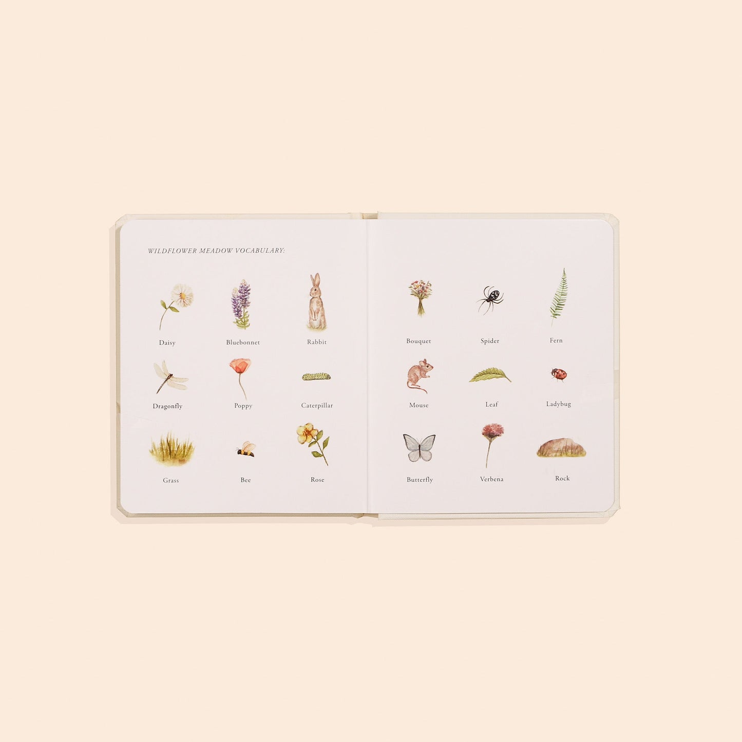 Our Little Adventures Box Set – BrightSprig
