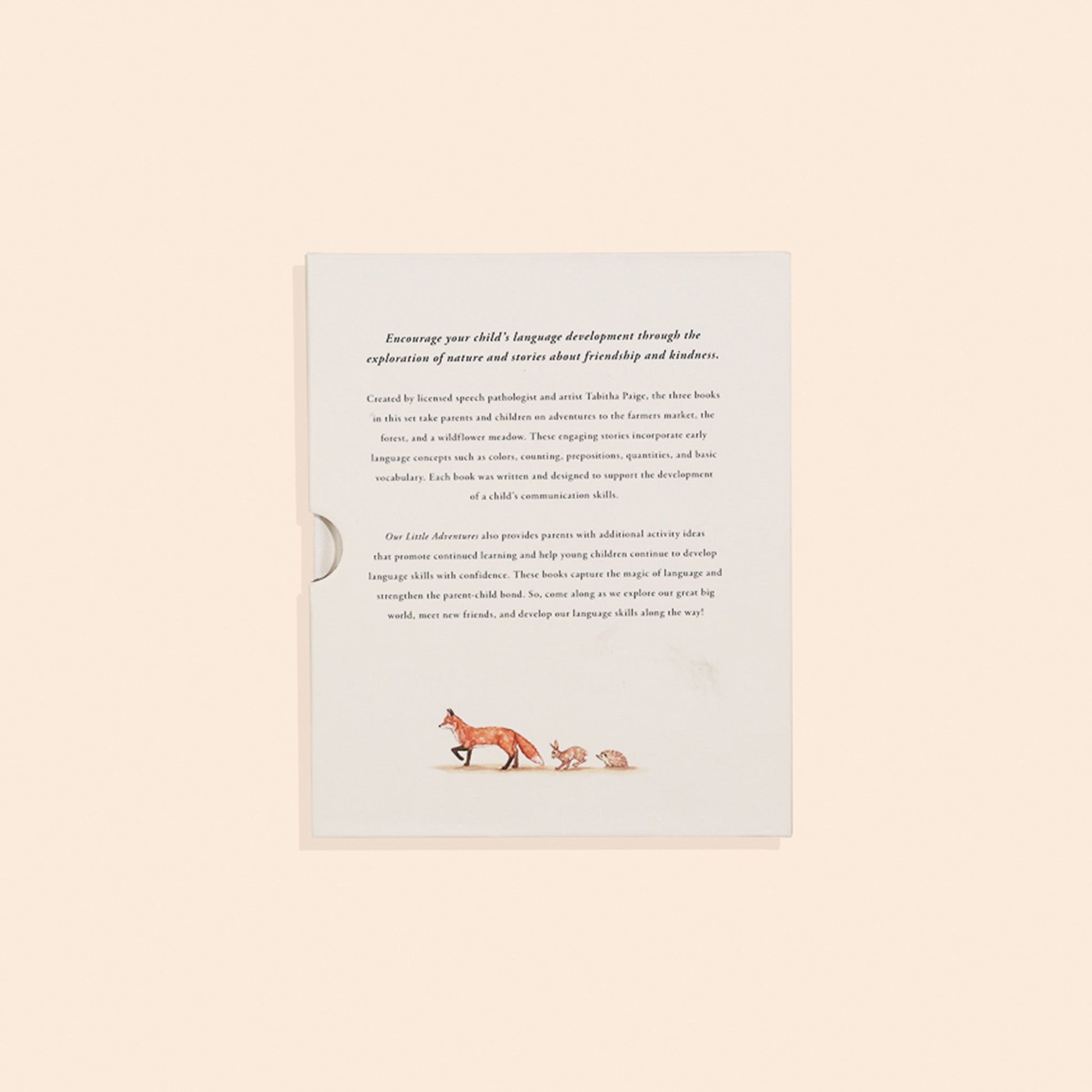Our Little Adventures Box Set – BrightSprig