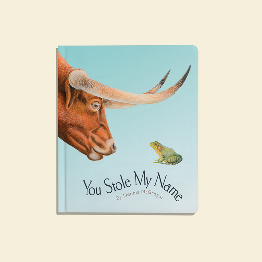 You Stole My Name Board Book – BrightSprig