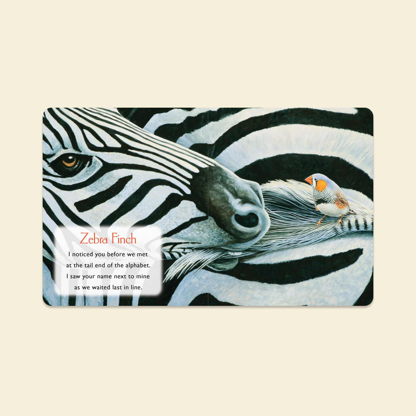 You Stole My Name Board Book – BrightSprig