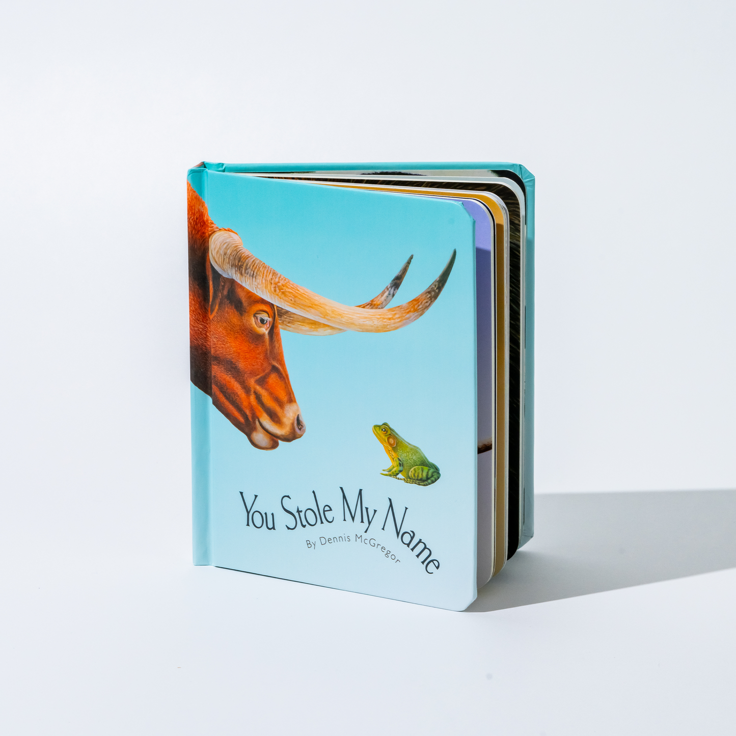 You Stole My Name Board Book – BrightSprig