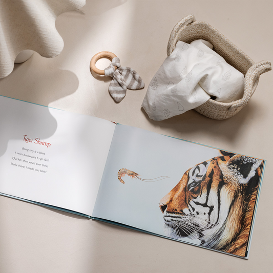 You Stole My Name – BrightSprig