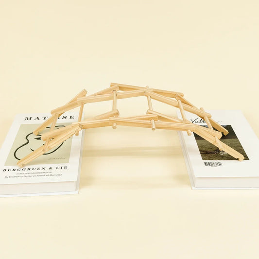 Kitsville Da Vinci Bridge STEM Building Kit – BrightSprig